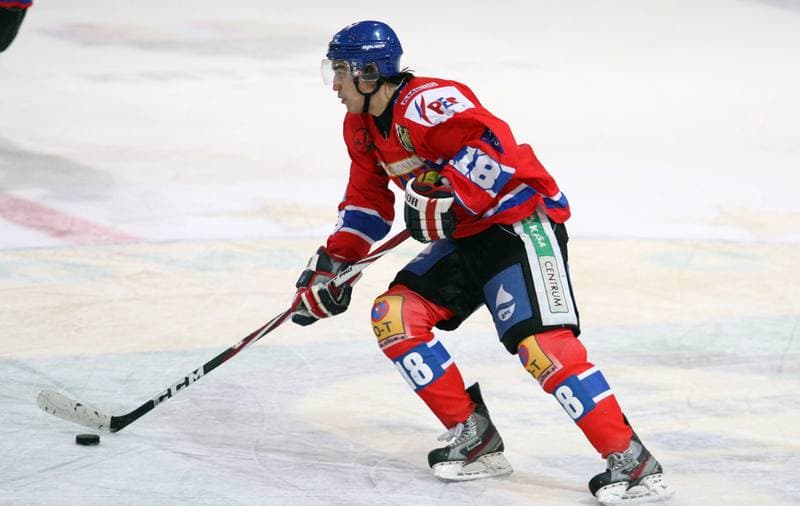 Ice Hockey. Tauron Hokej Liga. HC GKS Katowice - Polonia Bytom. 02.01.2015