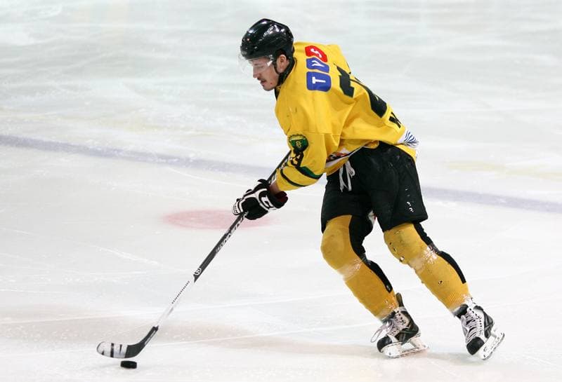 Ice Hockey. Polska Hokej Liga. HC GKS Katowice - JKH GKS Jastrzebie. 16.01.2015