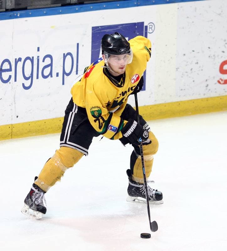 Ice Hockey. Polska Hokej Liga. HC GKS Katowice - Orlik Opole. 27.01.2015