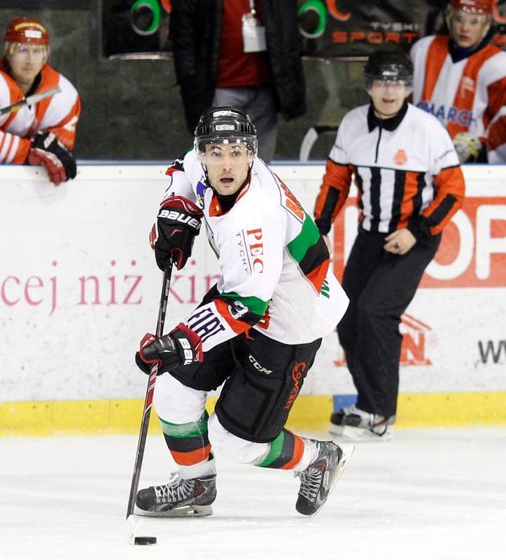 Ice Hockey. Polska Hokej Liga. GKS Tychy - Comarch Cracovia Krakow. 19.01.2014
