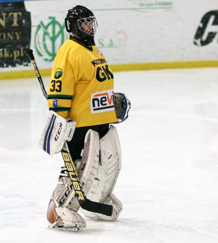 Ice Hockey. Tauron Hokej Liga. HC GKS Katowice - Polonia Bytom. 02.01.2015