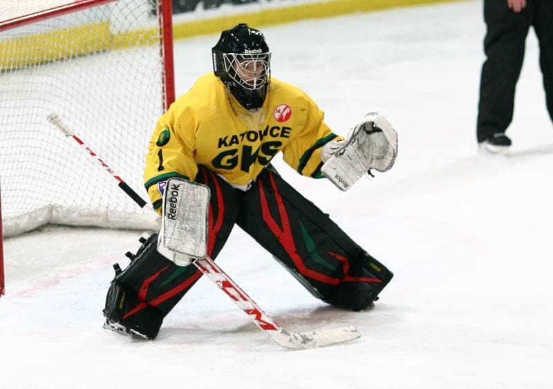 Ice Hockey. Tauron Hokej Liga. HC GKS Katowice - Polonia Bytom. 02.01.2015