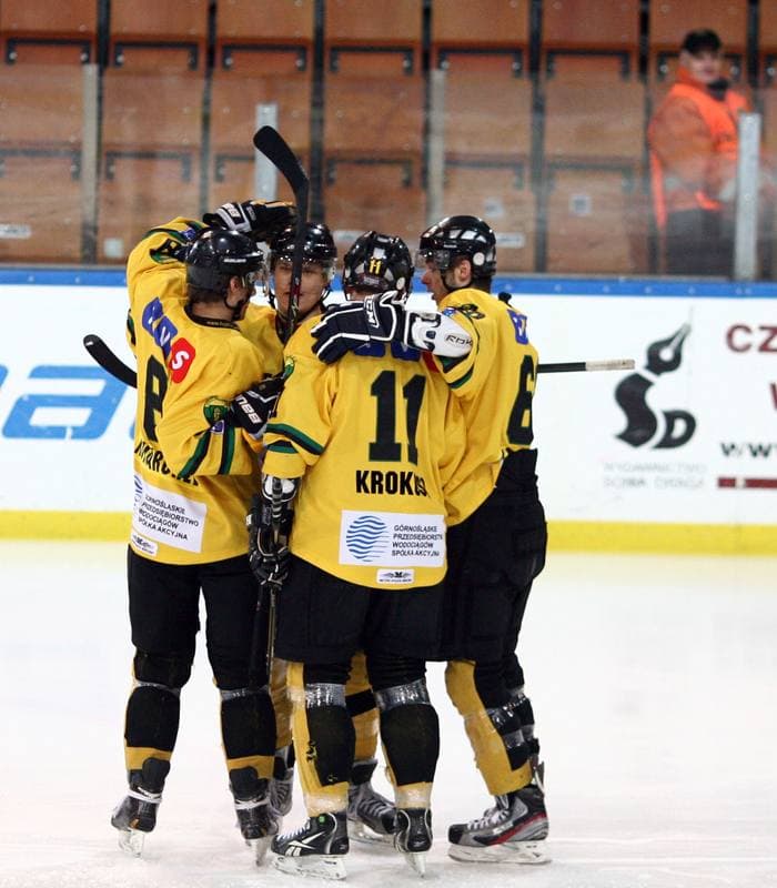 Ice Hockey. Polska Hokej Liga. HC GKS Katowice - Naprzod Janow. 10.02.2015