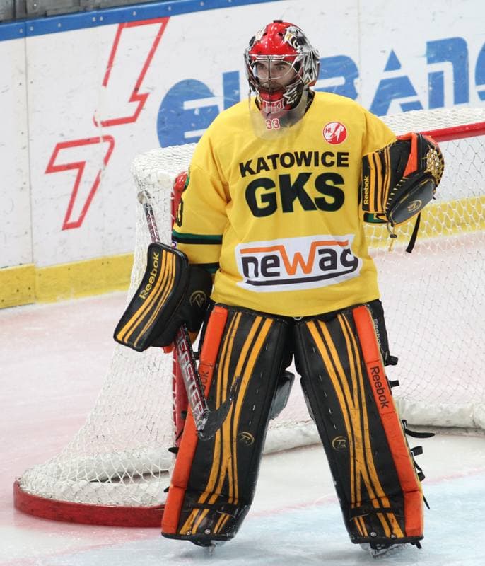 Ice Hockey. Polska Hokej Liga. HC GKS Katowice - KTH Krynica. 21.02.2014