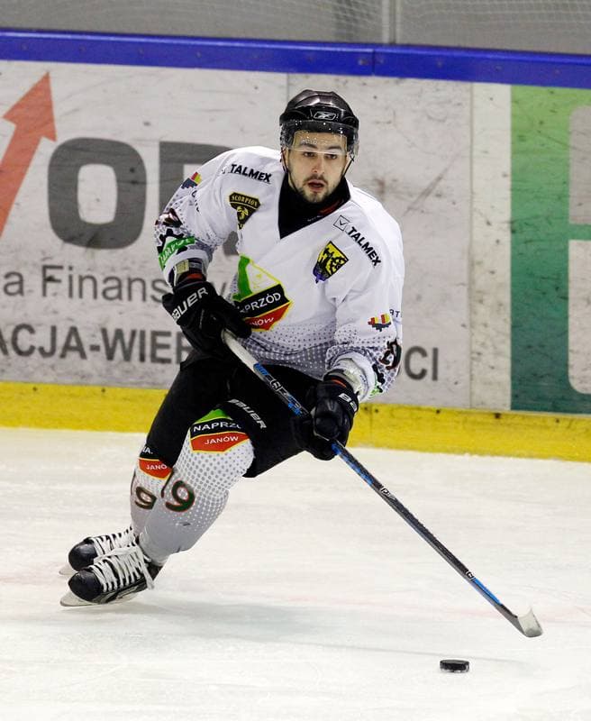 Ice Hockey. Polska Hokej Liga. Naprzod Janow - HC GKS Katowice. 06.01.2015