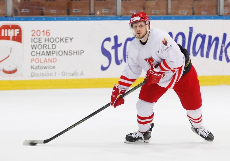 Ice Hockey. Poland national team. Training. 13.04.2016