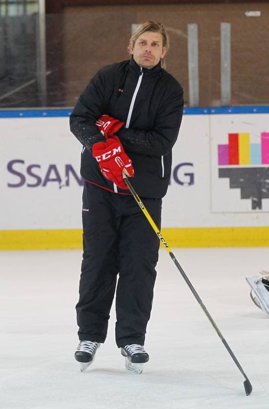 Ice Hockey. Poland national team. Training. 13.04.2016