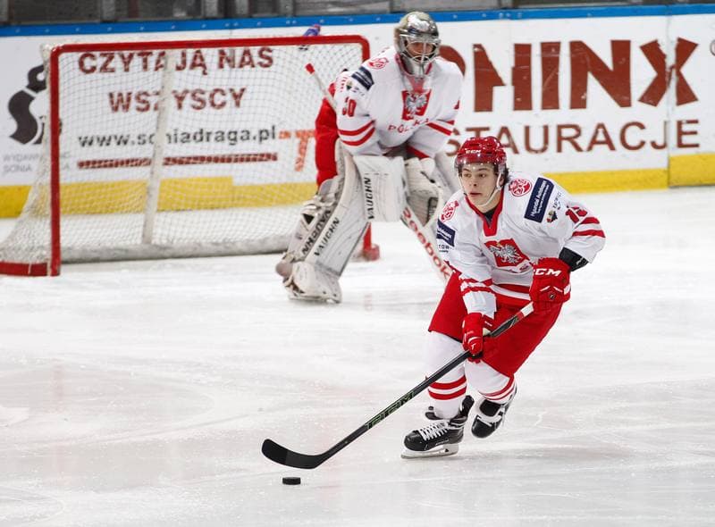 Ice Hockey. International Friendly Match. Poland - Lithuania. 14.04.2016