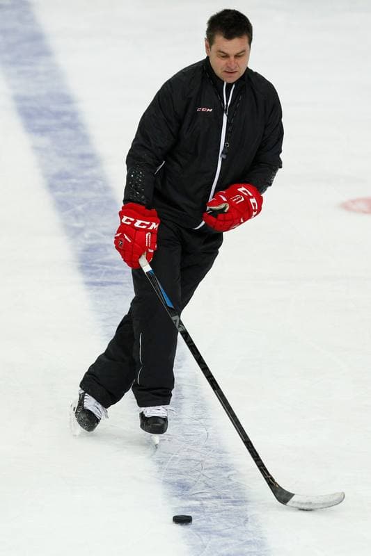 Ice Hockey. Poland national team. Training. 24.04.2016