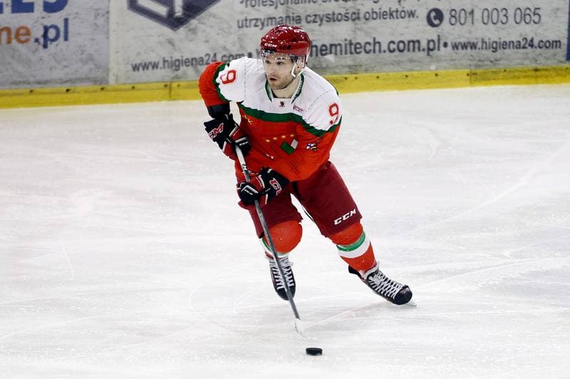 Ice Hockey. I Liga. Naprzod Janow - Zaglebie Sosnowiec. 22.01.2017