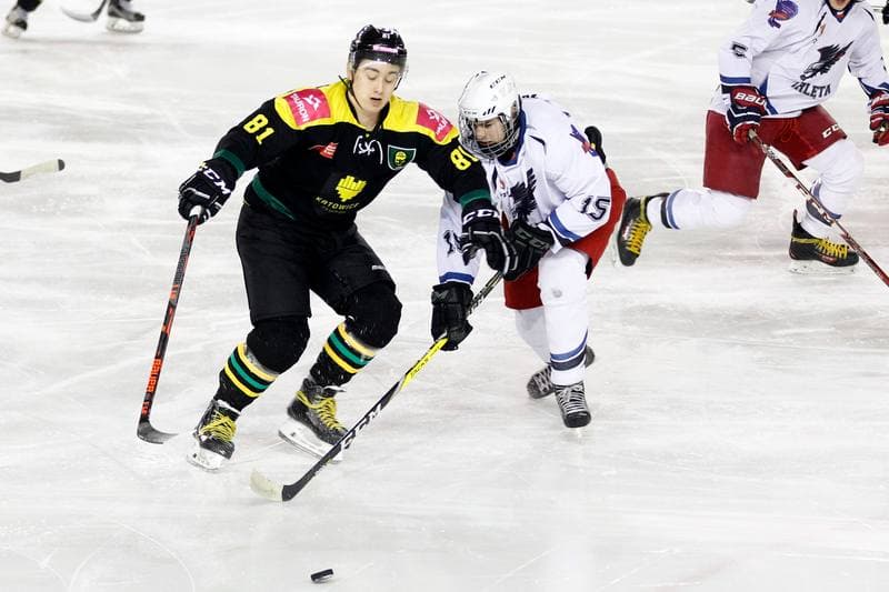 Ice Hockey. Polska Hokej Liga. SMS PZHL Sosnowiec - Tauron KH GKS Katowice. 31.01.2017