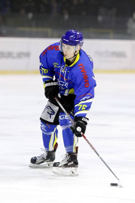 Ice Hockey. Polska Hokej Liga. Tempish Polonia Bytom - Orlik Opole. 03.02.2017