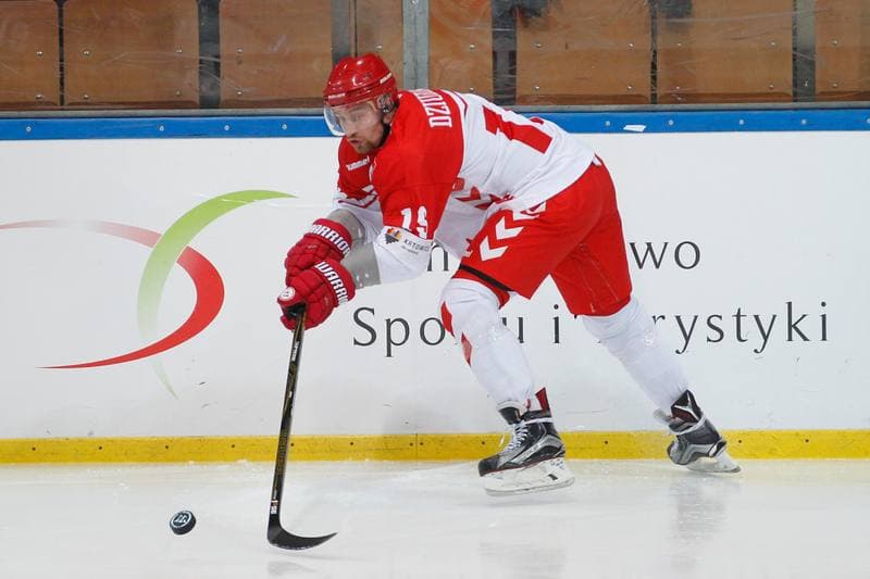Ice Hockey. Euro Ice Hockey Challenge. Poland - Slovenia. 09.02.2017