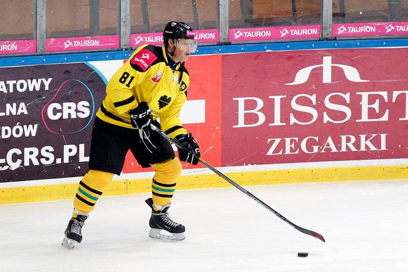 Ice Hockey. Charity Match. Tauron KH GKS Katowice - Byki Tauron. 01.04.2017