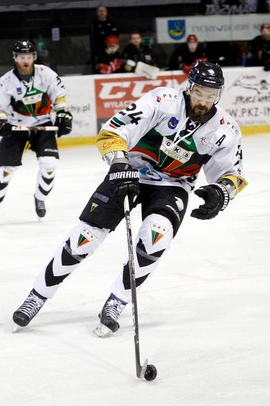 Ice Hockey. PHL. GKS Tychy - Comarch Cracovia. 02.04.2019