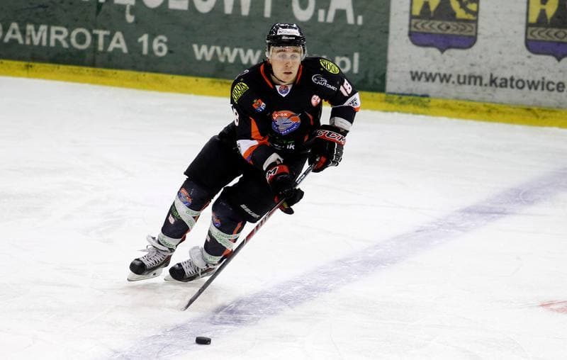 Ice Hockey. Polska Hokej Liga. Naprzod Janow - Ciarko KH Sanok. 18.01.2015
