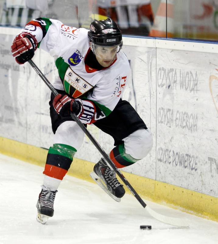 Ice Hockey. Polska Hokej Liga. GKS Tychy - Comarch Cracovia Krakow. 19.01.2014