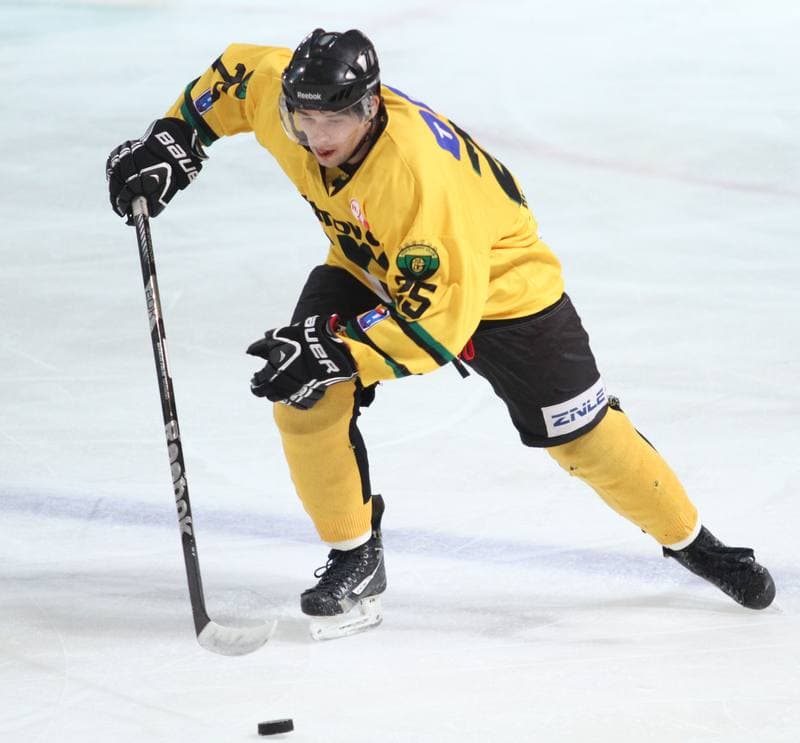 Ice Hockey. Tauron Hokej Liga. HC GKS Katowice - Podhale Nowy Targ. 04.01.2015