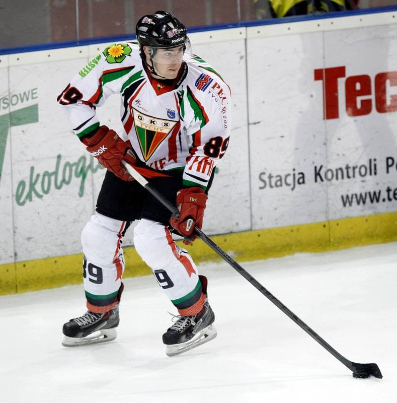 Ice Hockey. Polska Hokej Liga. GKS Tychy - Comarch Cracovia Krakow. 19.01.2014