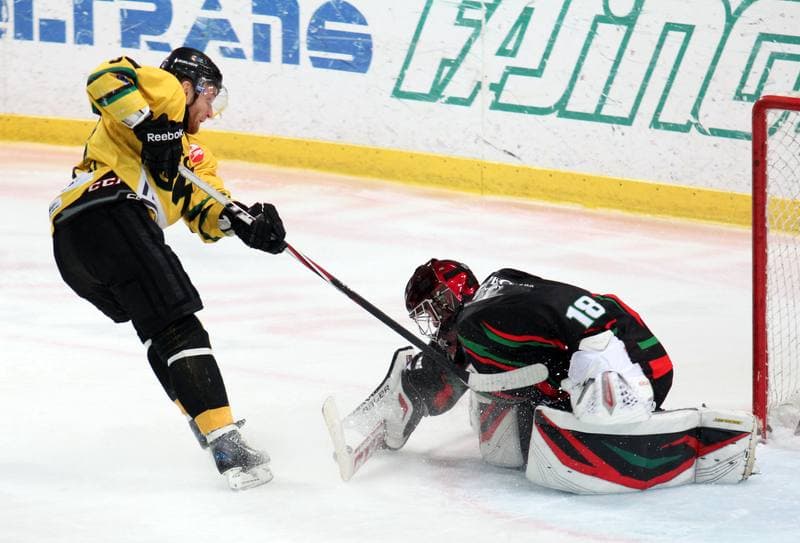Ice Hockey. Polska Hokej Liga. HC GKS Katowice - GKS Tychy. 11.01.2015