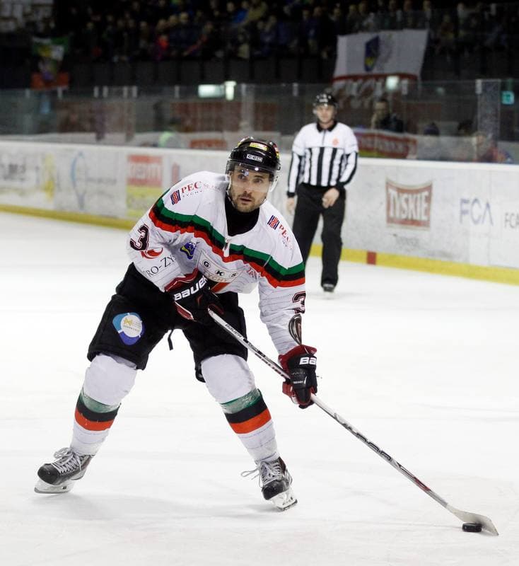 Ice Hockey. Polska Hokej Liga. GKS Tychy - Tatryski Podhale Nowy Targ. 29.02.2016
