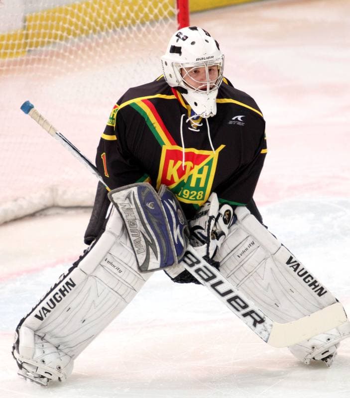 Ice Hockey. Polska Hokej Liga. HC GKS Katowice - KTH Krynica. 21.02.2014