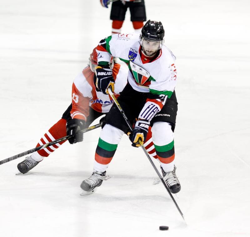 Ice Hockey. Polska Hokej Liga. GKS Tychy - Comarch Cracovia Krakow. 19.01.2014