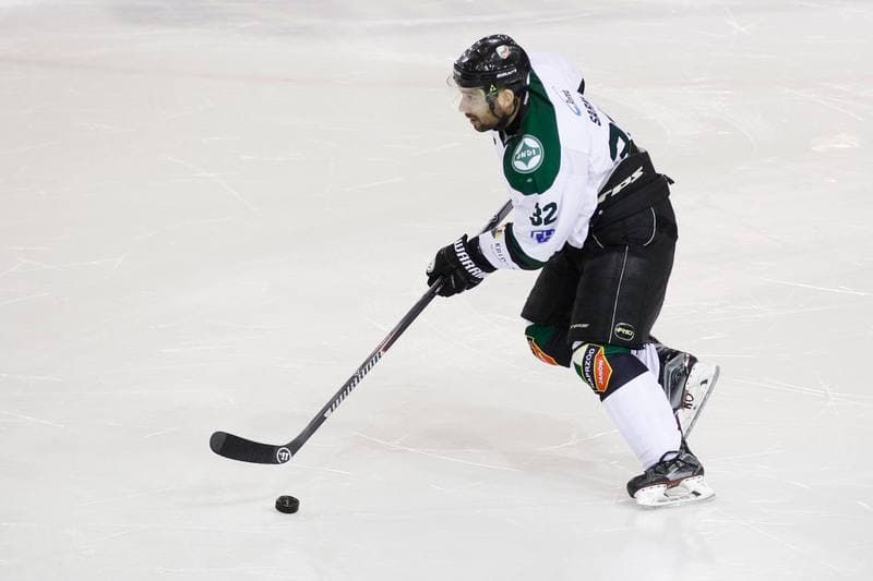 Ice Hockey. I Liga. Naprzod Janow - Zaglebie Sosnowiec. 22.01.2017