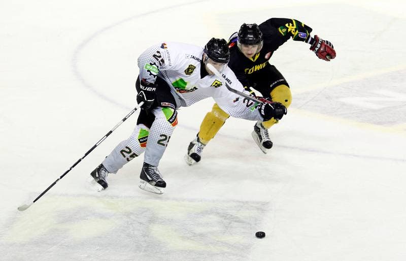 Ice Hockey. Polska Hokej Liga. Naprzod Janow - HC GKS Katowice. 06.01.2015