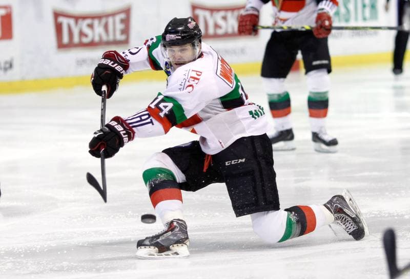 Ice Hockey. Polska Hokej Liga. GKS Tychy - Ciarko KH Sanok. 23.01.2015
