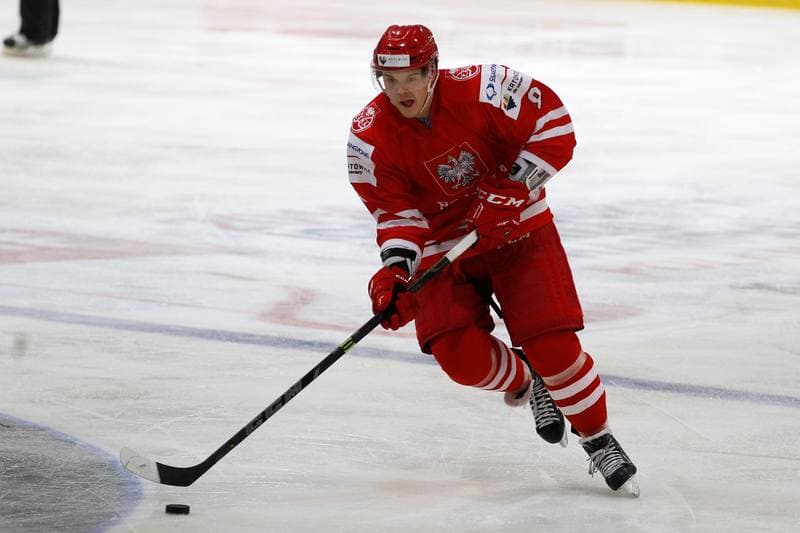Ice Hockey. EIHC. Poland - France. 19.12.2015