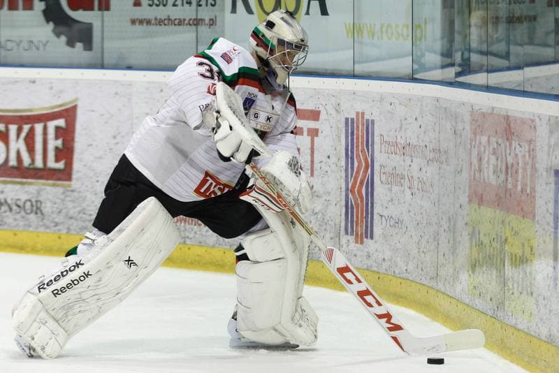 Ice Hockey. Polska Hokej Liga. GKS Tychy - Comarch Cracovia Krakow. 26.01.2016