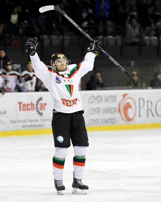 Ice Hockey. Polska Hokej Liga. GKS Tychy - Tatryski Podhale Nowy Targ. 01.03.2016
