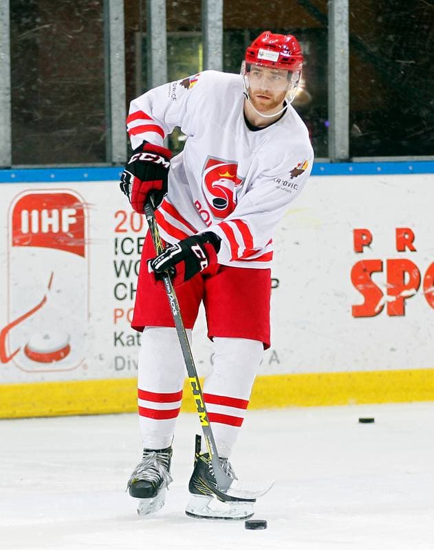 Ice Hockey. Poland national team. Training. 13.04.2016
