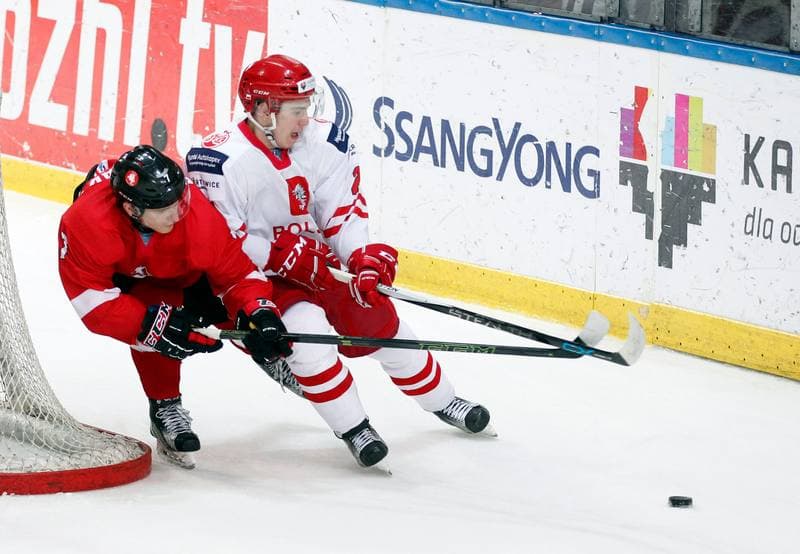 Ice Hockey. International Friendly Match. Poland - Lithuania. 14.04.2016