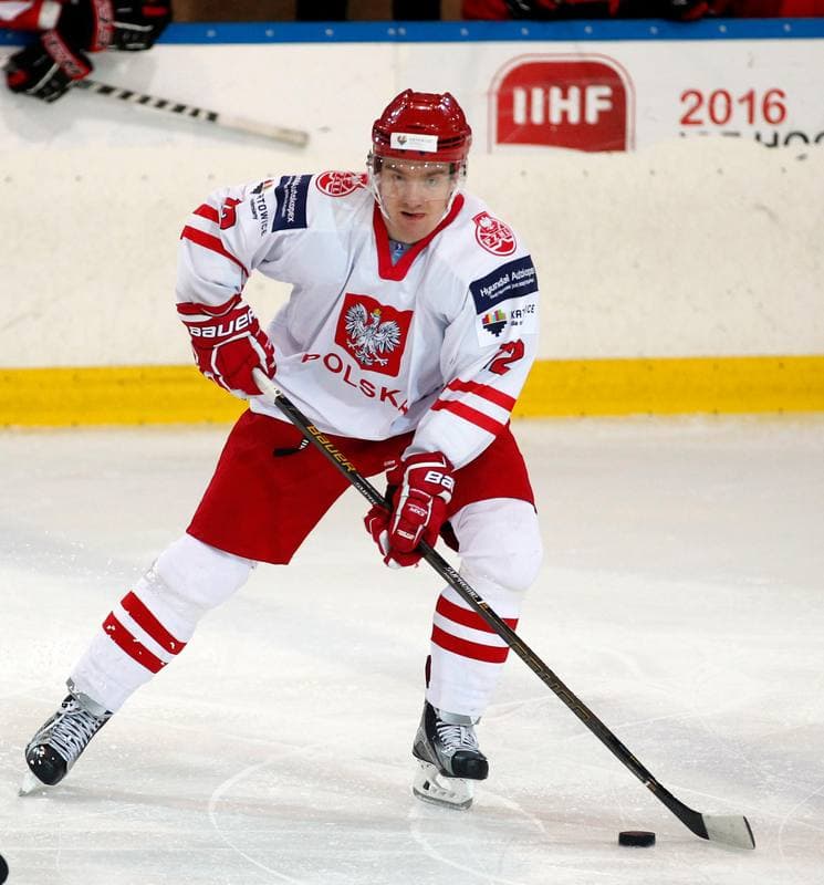 Ice Hockey. International Friendly Match. Poland - Lithuania. 14.04.2016