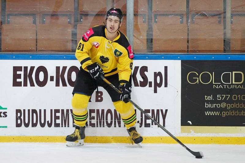 Ice Hockey. Polska Hokej Liga. Tauron KH GKS Katowice - Nesta Torun. 06.12.2016