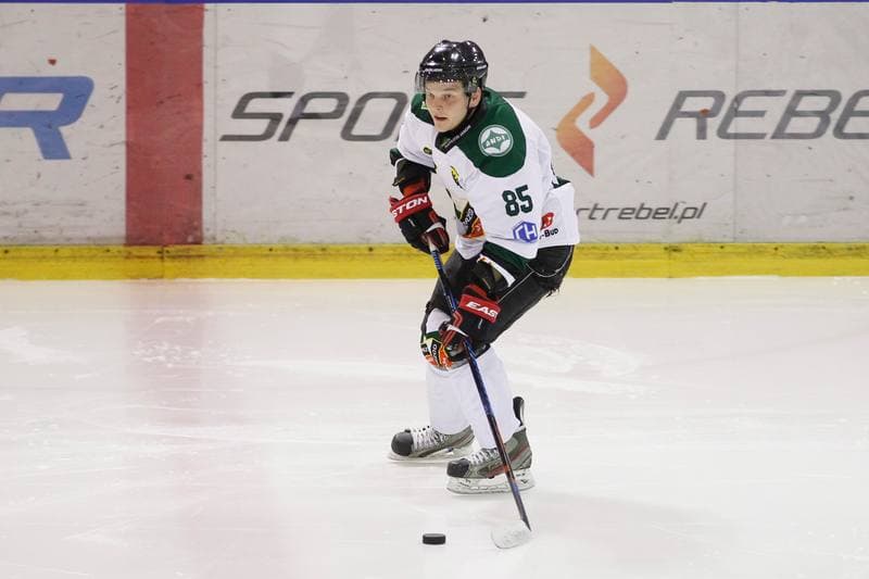 Ice Hockey. I Liga. Naprzod Janow - Zaglebie Sosnowiec. 22.01.2017