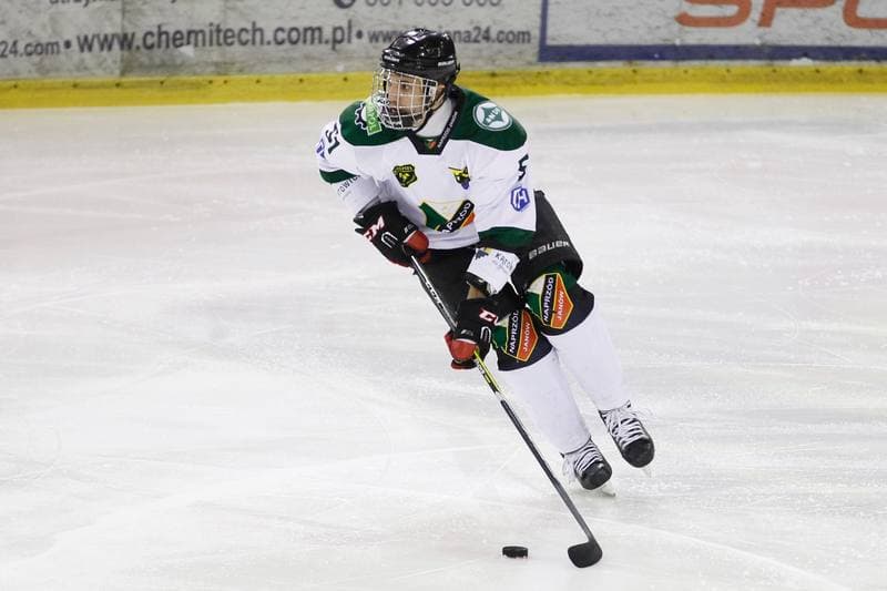 Ice Hockey. I Liga. Naprzod Janow - Zaglebie Sosnowiec. 22.01.2017