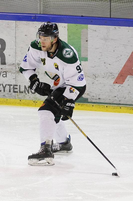 Ice Hockey. I Liga. Naprzod Janow - Zaglebie Sosnowiec. 22.01.2017