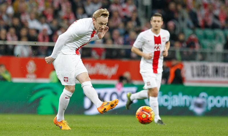 Football. International Friendly. Poland - Czech Republic. 17.11.2015
