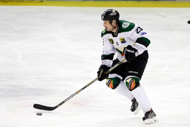 Ice Hockey. I Liga. Naprzod Janow - Zaglebie Sosnowiec. 12.03.2017
