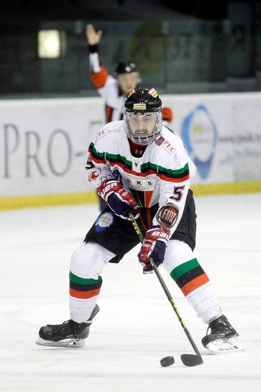 Ice Hockey. Polska Hokej Liga. GKS Tychy - Comarch Cracovia Krakow. 26.01.2016