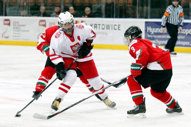 Ice Hockey. Women's Friendly Match. Poland - Hungary. 05.02.2016