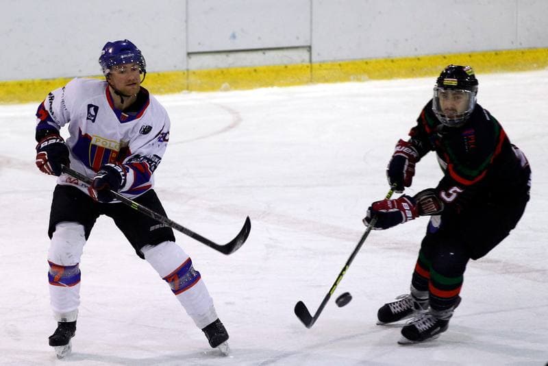 Ice Hockey. Tauron Hokej Liga. Polonia Bytom - GKS Tychy. 23.02.2016