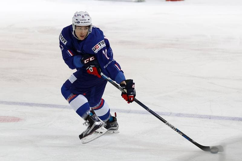 Ice Hockey. EIHC. France - Italy. 18.12.2015