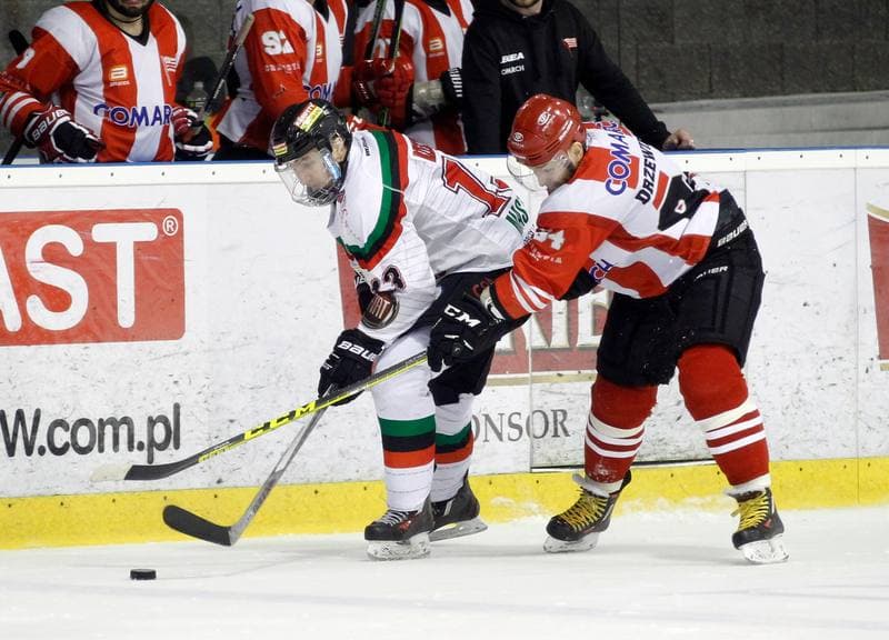 Ice Hockey. Polish Hockey League. GKS Tychy - Comarch Cracovia. 24.03.2016