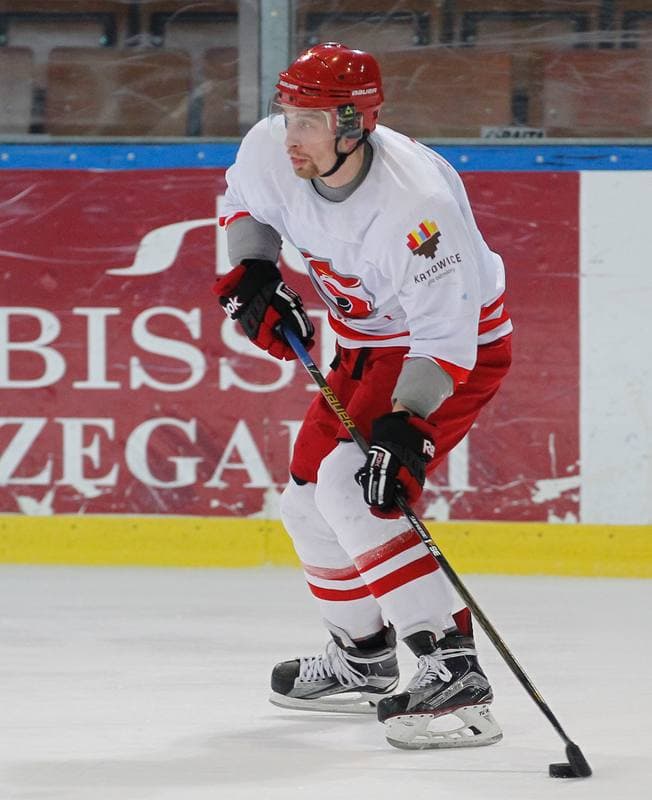 Ice Hockey. Poland national team. Training. 13.04.2016
