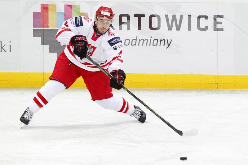 Ice Hockey. Friendly Match. Poland - Stars of PHL. 06.02.2016