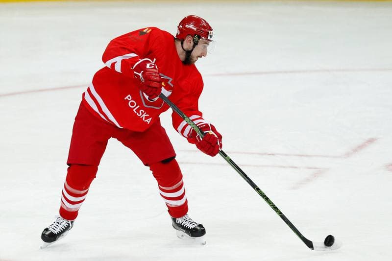 Ice Hockey. Poland national team. Training. 24.04.2016